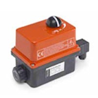 Electric Actuator‎