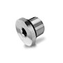 Hollow Hex Plug SAE